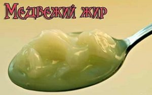 Медвежий жир, употребление